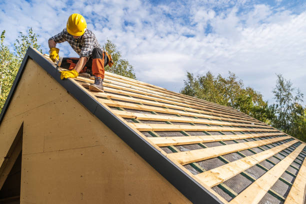 Best Roof Repair Services  in Harristown, IL